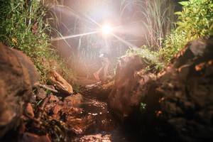 BIB: 
                            <button type="button" onclick="openModal(26415852)" class="btn btn-primary btn-sm float-right btn-popup" data-toggle="modal" data-target=".modal-high-quality">
                        <i class="fas fa-shopping-cart"></i> Add to Cart
                    </button>
                                            <button type="button" onclick="isThisMe(26415852, true)" class="btn btn-success btn-sm float-right btn-popup btn-isme hidden" data-toggle="tooltip" data-placement="bottom" title="นี่คือรูปของคุณใช่ไหม คลิกที่นี่เพื่อเอาเข้าอัลบั้ม">
                        <i class="fas fa-plus"></i> Add to album
                    </button>
                    <button type="button" onclick="isThisMe(26415852, false)" class="btn btn-warning btn-sm float-right btn-popup btn-isnotme hidden">
                        <i class="fas fa-ban"></i> Remove from album
                    </button>